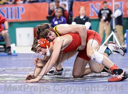 Thumbnail 1 in NCHSAA 3A Wrestling Championships photogallery.