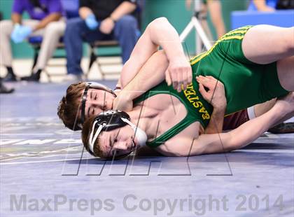 Thumbnail 1 in NCHSAA 3A Wrestling Championships photogallery.