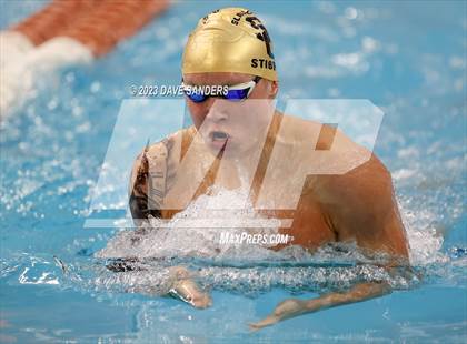 Thumbnail 1 in UIL 6A State Varsity Swim and Dive Finals photogallery.