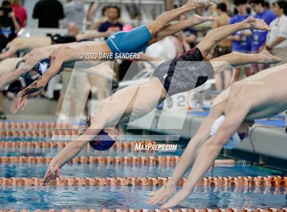 Thumbnail 1 in UIL 6A State Varsity Swim and Dive Finals photogallery.