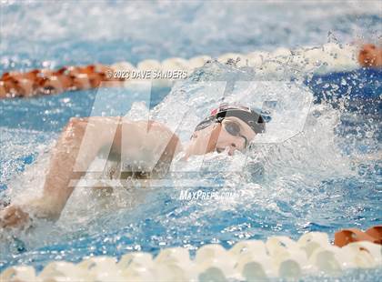 Thumbnail 1 in UIL 6A State Varsity Swim and Dive Finals photogallery.