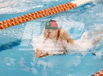 Thumbnail 3 in UIL 6A State Varsity Swim and Dive Finals photogallery.