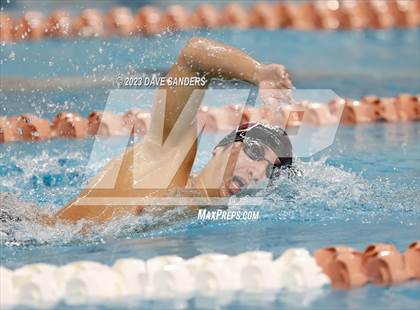 Thumbnail 1 in UIL 6A State Varsity Swim and Dive Finals photogallery.
