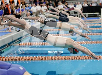 Thumbnail 2 in UIL 6A State Varsity Swim and Dive Finals photogallery.