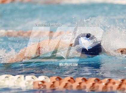 Thumbnail 2 in UIL 6A State Varsity Swim and Dive Finals photogallery.