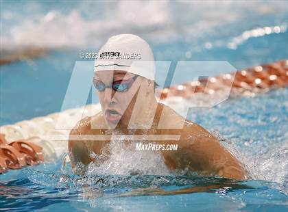 Thumbnail 2 in UIL 6A State Varsity Swim and Dive Finals photogallery.