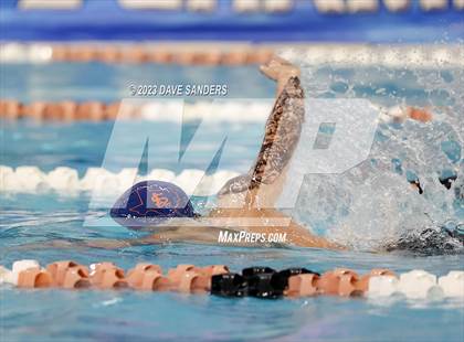 Thumbnail 3 in UIL 6A State Varsity Swim and Dive Finals photogallery.