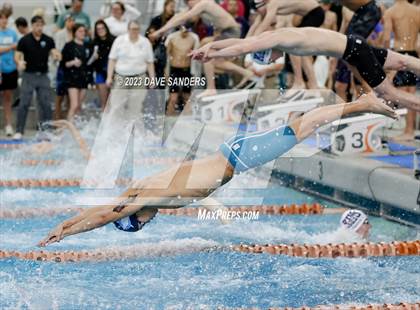 Thumbnail 3 in UIL 6A State Varsity Swim and Dive Finals photogallery.