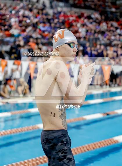 Thumbnail 3 in UIL 6A State Varsity Swim and Dive Finals photogallery.