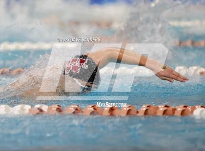 Thumbnail 3 in UIL 6A State Varsity Swim and Dive Finals photogallery.