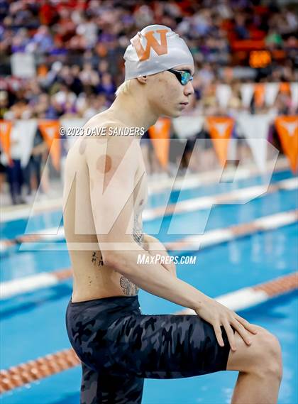 Thumbnail 3 in UIL 6A State Varsity Swim and Dive Finals photogallery.
