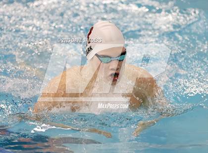 Thumbnail 2 in UIL 6A State Varsity Swim and Dive Finals photogallery.