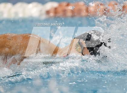 Thumbnail 2 in UIL 6A State Varsity Swim and Dive Finals photogallery.
