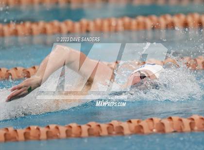 Thumbnail 2 in UIL 6A State Varsity Swim and Dive Finals photogallery.