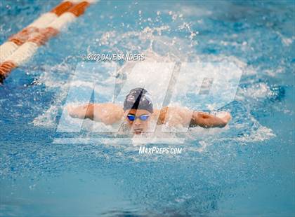 Thumbnail 3 in UIL 6A State Varsity Swim and Dive Finals photogallery.