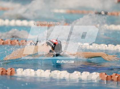 Thumbnail 2 in UIL 6A State Varsity Swim and Dive Finals photogallery.