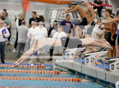 Thumbnail 2 in UIL 6A State Varsity Swim and Dive Finals photogallery.