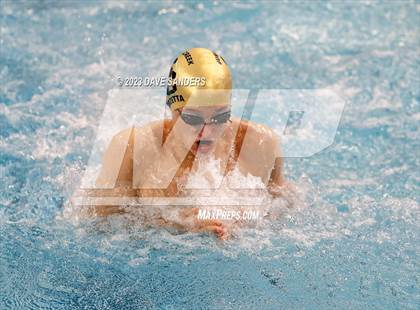 Thumbnail 3 in UIL 6A State Varsity Swim and Dive Finals photogallery.