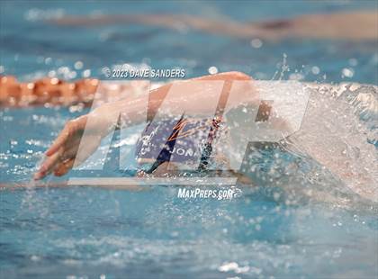 Thumbnail 3 in UIL 6A State Varsity Swim and Dive Finals photogallery.