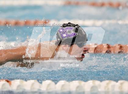 Thumbnail 3 in UIL 6A State Varsity Swim and Dive Finals photogallery.