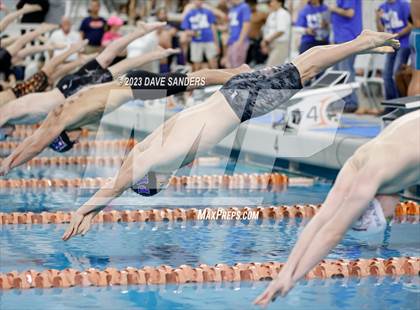 Thumbnail 1 in UIL 6A State Varsity Swim and Dive Finals photogallery.