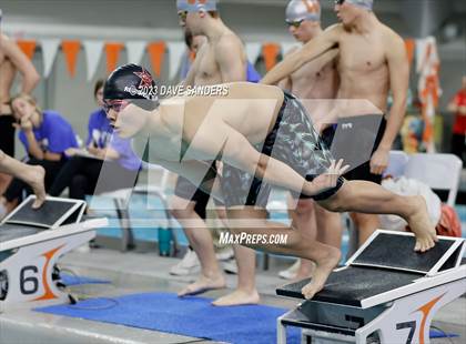 Thumbnail 1 in UIL 6A State Varsity Swim and Dive Finals photogallery.