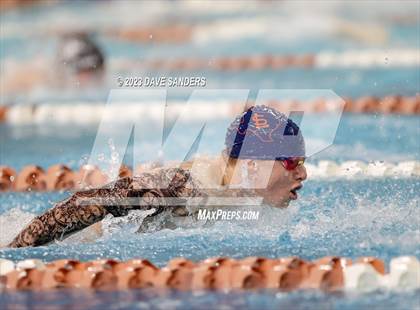 Thumbnail 1 in UIL 6A State Varsity Swim and Dive Finals photogallery.