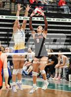 Photo from the gallery "Skyridge vs. Orem"