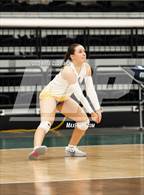 Photo from the gallery "Skyridge vs. Orem"