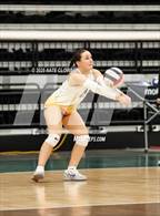 Photo from the gallery "Skyridge vs. Orem"