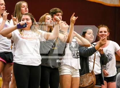 Thumbnail 2 in Canyon del Oro @ Greenway (AIA 4A Semifinal Playoff) photogallery.