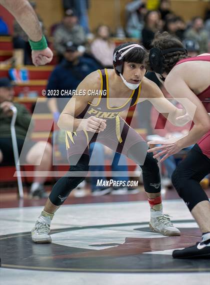 Thumbnail 1 in NBL Finals photogallery.