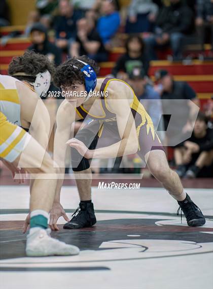 Thumbnail 1 in NBL Finals photogallery.
