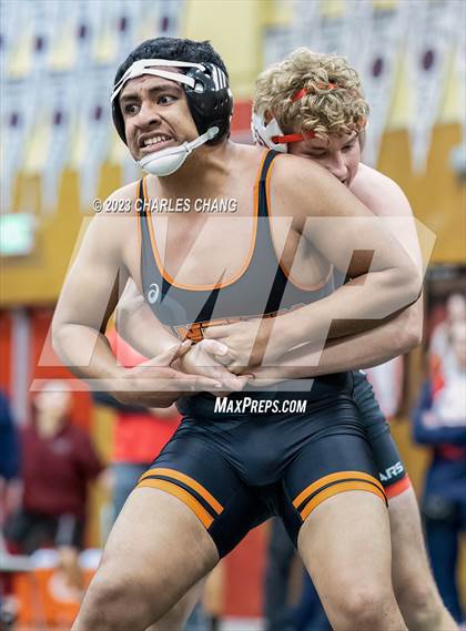 Thumbnail 1 in NBL Finals photogallery.