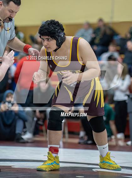 Thumbnail 1 in NBL Finals photogallery.