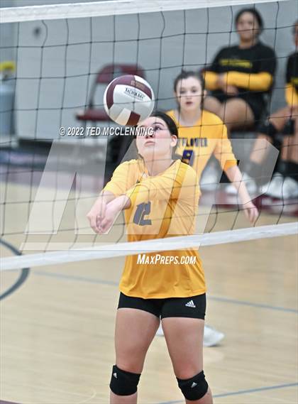 Thumbnail 2 in Mayflower @ Perryville photogallery.