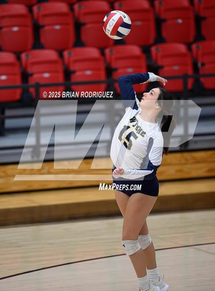 Thumbnail 3 in Wynne vs. Highland (AAA 4A East Regional Round 1) photogallery.