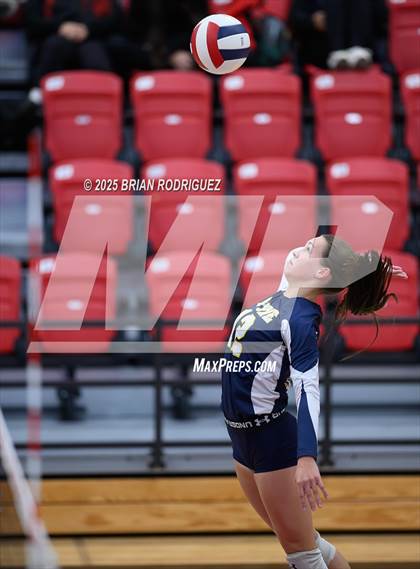 Thumbnail 1 in Wynne vs. Highland (AAA 4A East Regional Round 1) photogallery.