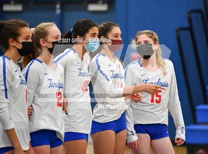 Thumbnail 1 in Windsor @ Tamalpais photogallery.