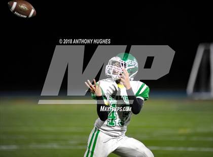 Thumbnail 2 in Seaford @ Malverne photogallery.