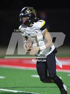 Photo from the gallery "Roy @ Bountiful"