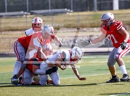 Thumbnail 3 in Shelby @ Marion Harding photogallery.
