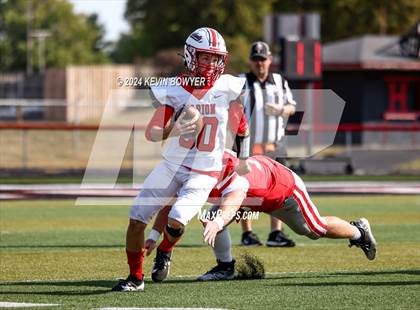 Thumbnail 3 in Shelby @ Marion Harding photogallery.