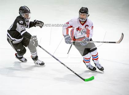 Thumbnail 2 in High Point @ Parsippany Regional photogallery.