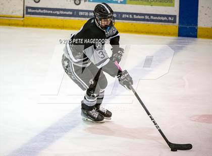 Thumbnail 2 in High Point @ Parsippany Regional photogallery.