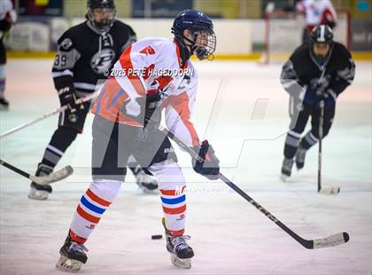 Thumbnail 3 in High Point @ Parsippany Regional photogallery.
