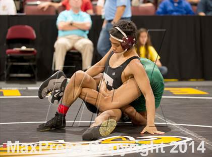 Thumbnail 1 in CIF State Wrestling Championships (Round 2) photogallery.