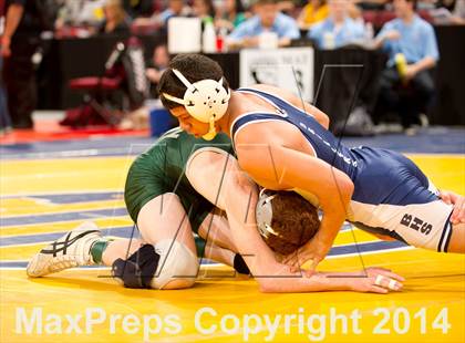 Thumbnail 1 in CIF State Wrestling Championships (Round 2) photogallery.