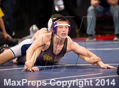 Thumbnail 2 in CIF State Wrestling Championships (Round 2) photogallery.