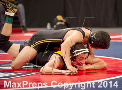 Thumbnail 3 in CIF State Wrestling Championships (Round 2) photogallery.